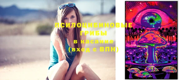 эйфоретик Снежногорск
