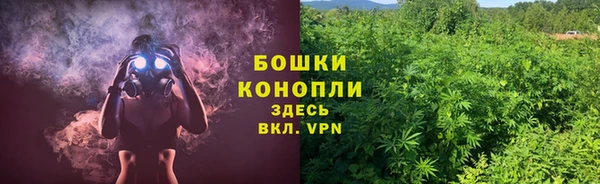2c-b Богородицк